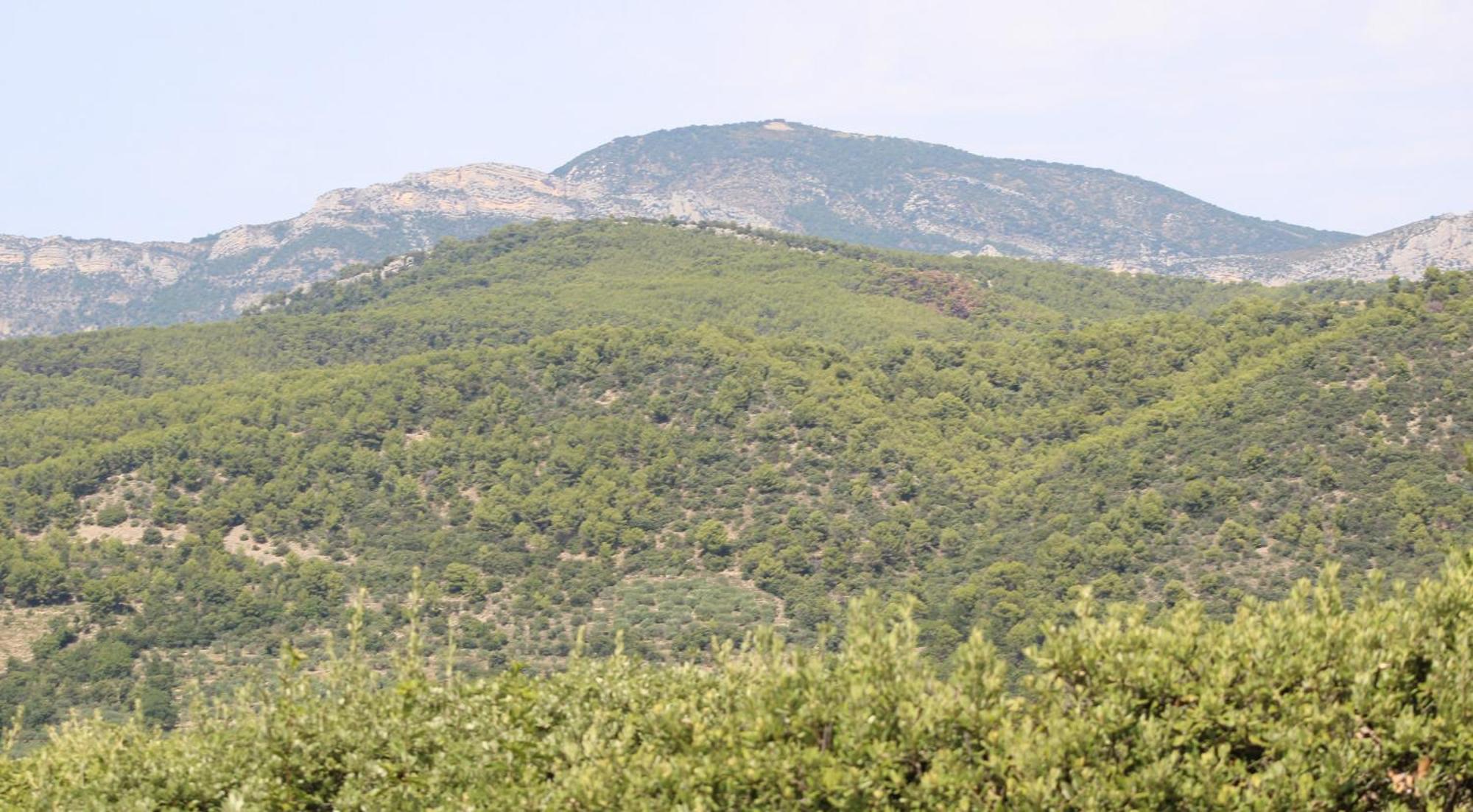 Ferienwohnung Le Pas Du Ventoux Mollans-sur-Ouvèze Exterior foto