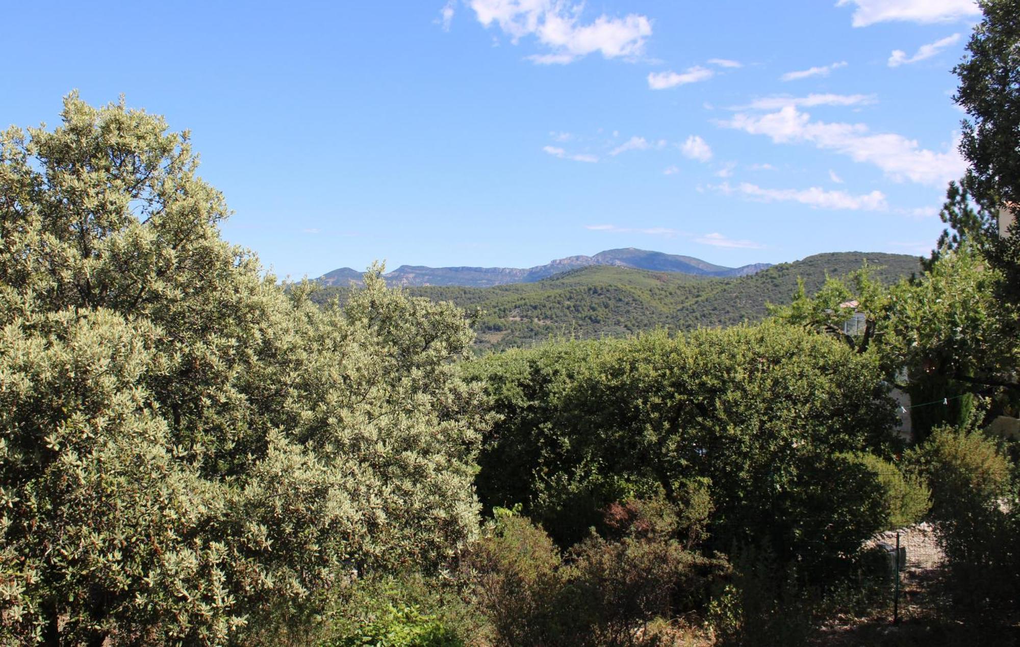 Ferienwohnung Le Pas Du Ventoux Mollans-sur-Ouvèze Exterior foto